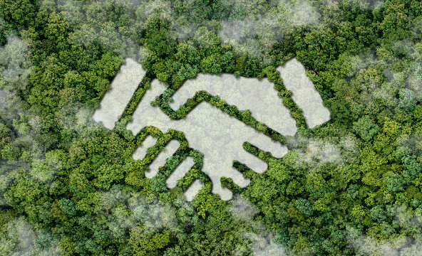 Reasons environment 1