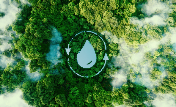 Reasons environment 10