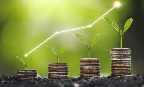 Reasons plants growing from coins